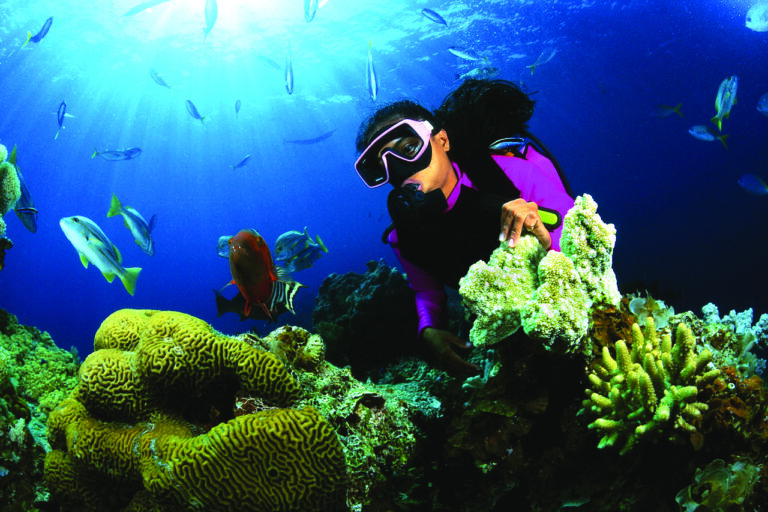 Hikkaduwa - Fringing Coral Reef-02