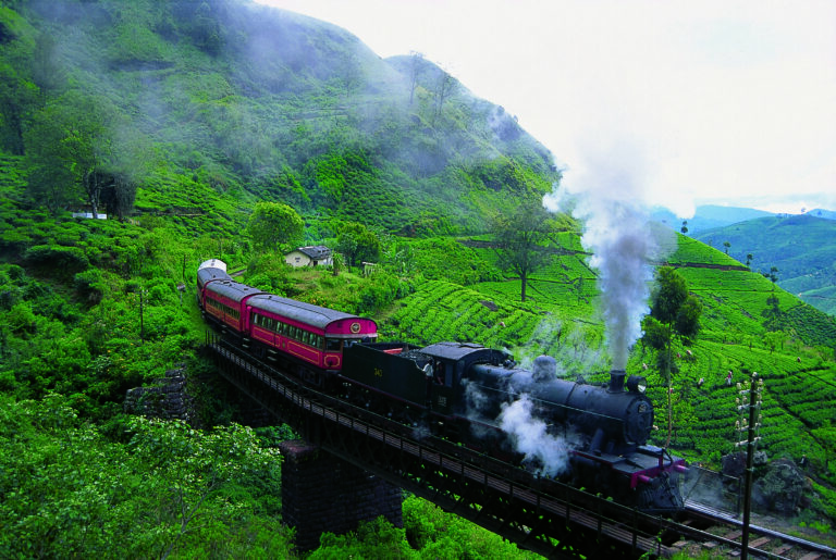Viceroy Train - Rolling Tea Estates 01